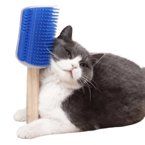 Massageador com Catnip para Gatos - Loja Regional