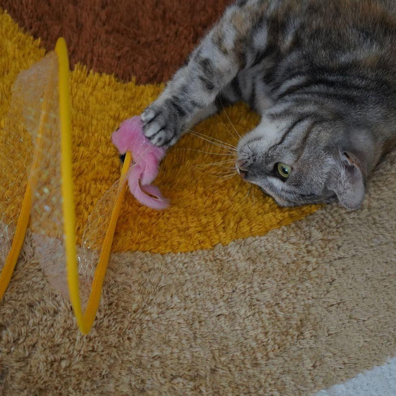 Tunicat - Brinquedo Minhoca Espiral para Gatos - Loja Regional